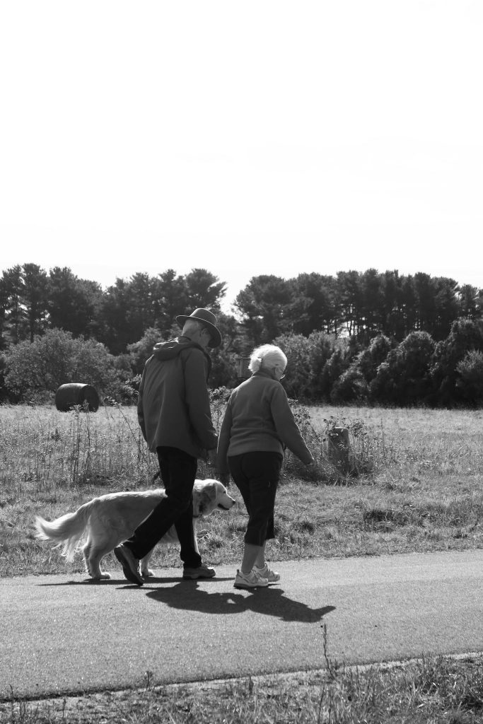 Black and white photo of a couple walking with their dog in Rhode Island.