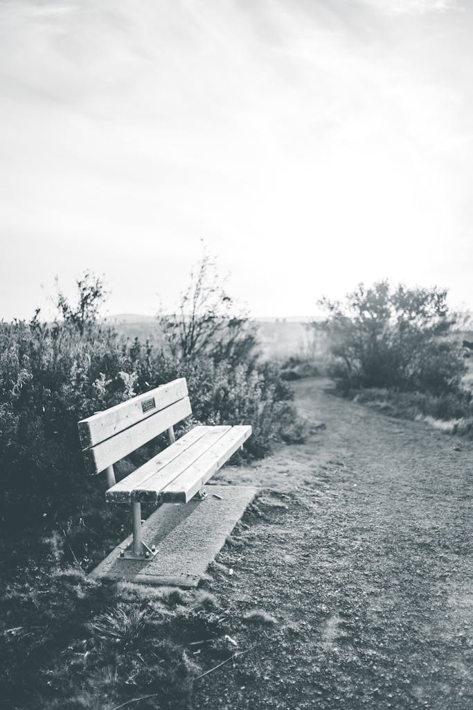 Simple elegance of a monochrome park bench alongside a winding path, in grayscale.